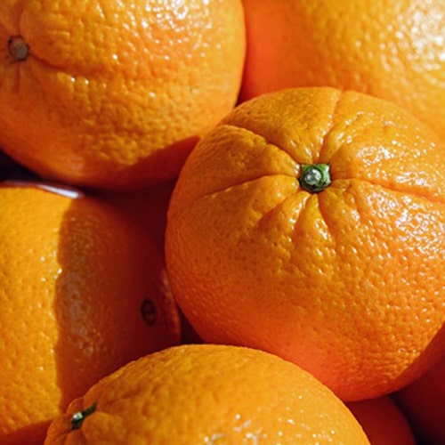 Pommes Gala bio (1 kg)