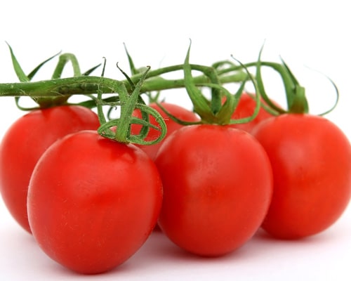 Pommes Gala bio (1 kg)